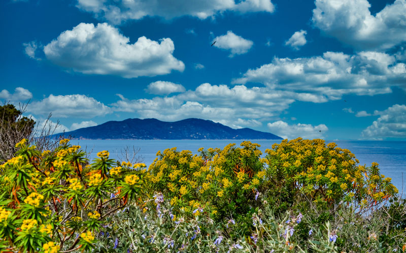 LE MERAVIGLIE DELL'ARCIPELAGO TOSCANO 
